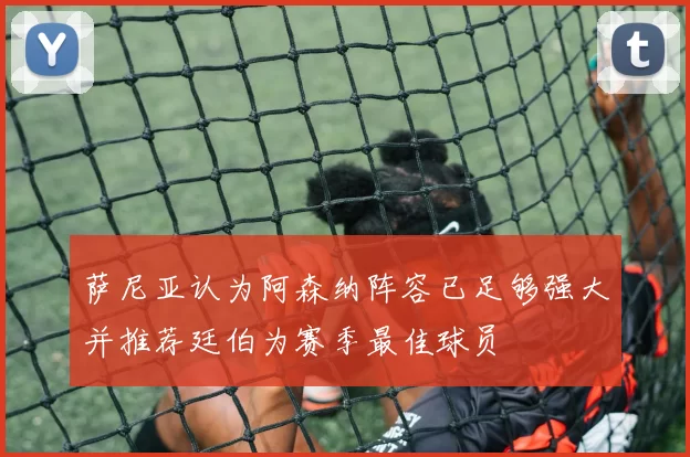 萨尼亚认为阿森纳阵容已足够强大并推荐廷伯为赛季最佳球员